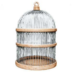 Rustic Wooden Cage PNG ttp PNG