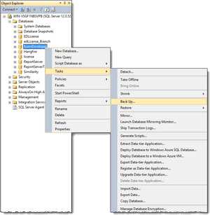 Sql Database Names, HD Png Download PNG image with transparent background