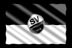 S V Sandhausen1916 Flag Graphic PNG image with transparent background
