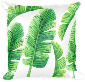 Sabal Palmetto, HD Png Download PNG image with transparent background