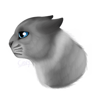 Sad Cat Png, Transparent Png PNG image with transparent background
