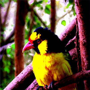 Safari Bird Watching PNG 06122024 PNG with transparent background