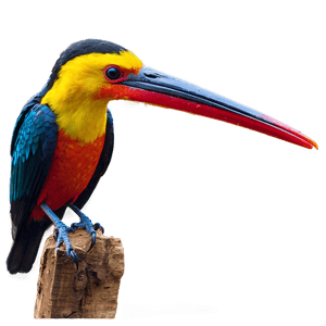 Safari Rare Bird Species PNG 06122024 PNG image with transparent background