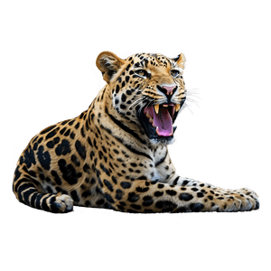 Safari Tracker Guide PNG 06122024 PNG with transparent background