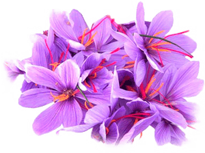Iranian Negin Saffron, HD Png Download PNG with transparent background