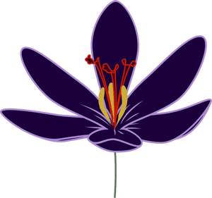 Crocus Transparent Png - Transparent Saffron Flower Png, Png Download PNG with transparent background