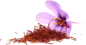 Transparent Crocus Png - Saffron In Sri Lanka, Png Download PNG with transparent background