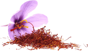 Saffron Png, Transparent Png PNG