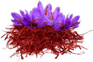 Transparent Crocus Flower Clipart - Saffron Flower Png, Png Download PNG with transparent background