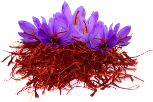 Saffron Stigmasand Flowers PNG Image