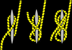 Sailing Knot Sequence Illustration PNG image with transparent background