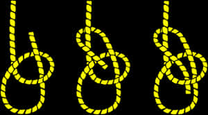 Sailing Knots Progression PNG image with transparent background