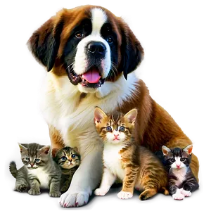 Saint Bernard And Kittens Png 06252024 PNG Image