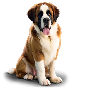 Saint Bernard At The Beach Png 06252024 PNG Image