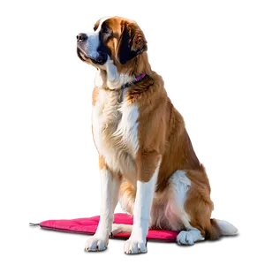 Saint Bernard At The Beach Png Pcw PNG Image