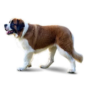 Saint Bernard Hiking Adventure Png Mju PNG Image