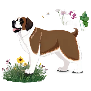 Saint Bernard In Summer Png 06252024 PNG Image