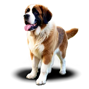 Saint Bernard In The Moonlight Png 52 PNG Image