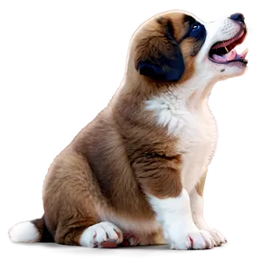 Saint Bernard Puppy Yawn Png Urf50 PNG Image