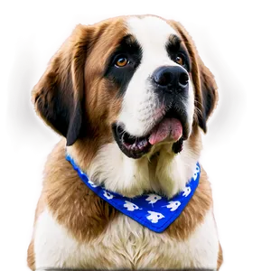 Saint Bernard With Blue Bandana Png Sav50 PNG Image