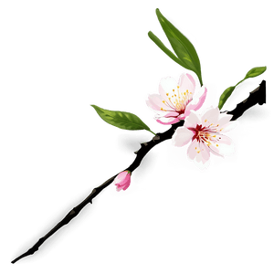 Sakura Branch PNG 06202024 PNG