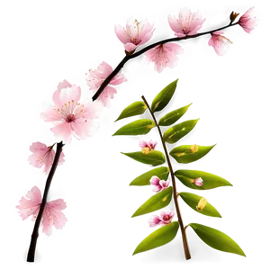 Sakura Branch Png 86 PNG Image