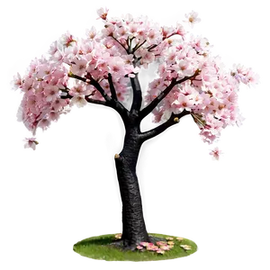 Sakura Cherry Tree Png Pxb39 PNG Image