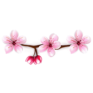 Sakura Flower Art PNG pfe PNG