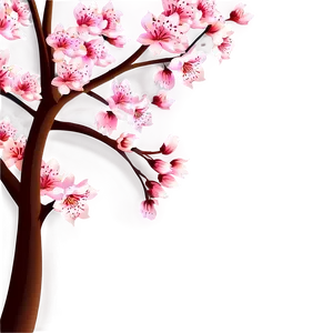 Sakura Flower Illustration Png Sqv92 PNG Image