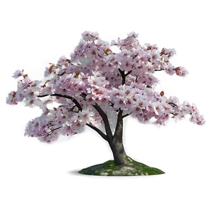 Sakura Tree In Early Spring Png Dyx86 PNG Image