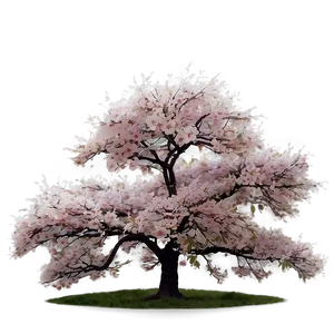 Sakura Tree In Misty Morning Png 74 PNG Image