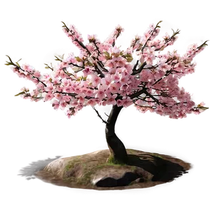 Sakura Tree In Urban Setting Png 06122024 PNG Image