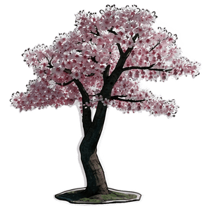 Sakura Tree PNG 68 PNG