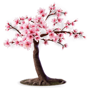 Sakura Tree PNG 88 PNG