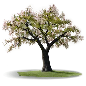 Sakura Tree With Farmhouse Scenery Png 06122024 PNG Image