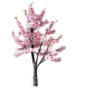 Sakura Tree With Soft Pastel Colors Png 06122024 PNG Image