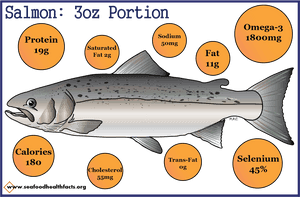 Salmon - Pacific Sturgeon, HD Png Download PNG with transparent background