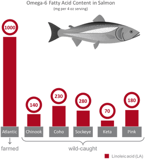 Wild Versus Farmed Feed - Farmed Vs Wild Salmon Chart, HD Png Download PNG image with transparent background