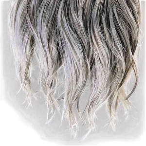 Salt And Pepper Hair Png Epe82 PNG Image