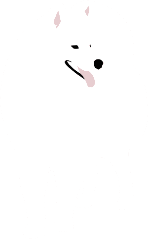 Samoyed Png, Transparent Png PNG