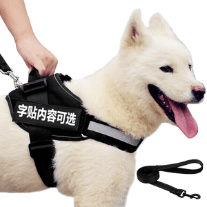 Dog, HD Png Download PNG