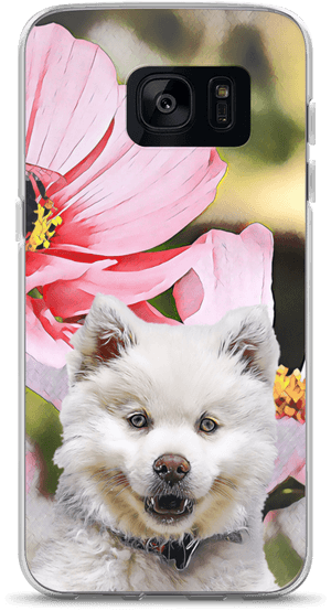 Pomeranian, HD Png Download PNG