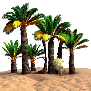 Sandy Desert Oasis Land PNG 62 PNG with transparent background