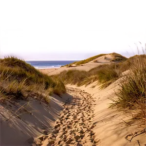 Sandy Path Through Dunes Png 06242024 PNG Image