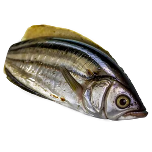 Sardine Spread Png 29 PNG Image