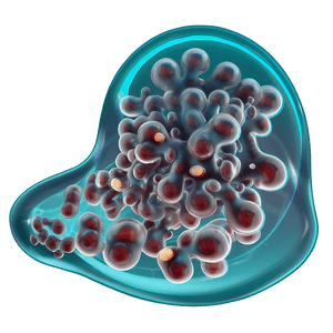 SARS-CoV-2 Image PNG yrb PNG image with transparent background