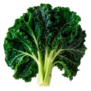 Sautéed Kale Png Gqt3 PNG Image