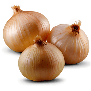 Sautéed Onion PNG rgx81 PNG image with transparent background