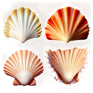 Scallop Shells Collection Png 06212024 PNG Image