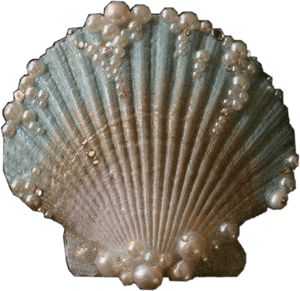 #clam #shell #sea #mermaid #ocean #vintage #water #aesthetic - Shell Aesthetic, HD Png Download PNG with transparent background